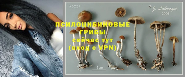 молекула духа Абаза
