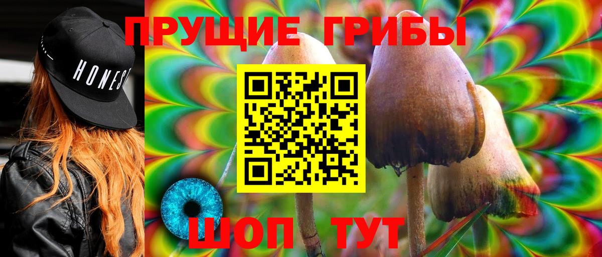 Галлюциногенные грибы Psilocybine cubensis  Вход с VPN  Ялуторовск  Галлюциногенные грибы Psilocybe 
